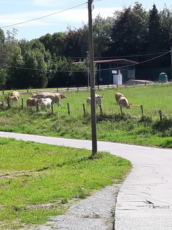 Casa Rural Irigoien San Sebastián Værelse billede